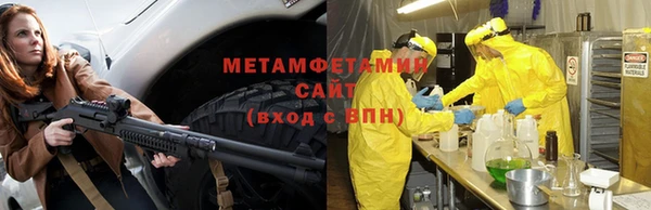шишки Инта