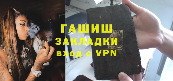 шишки Инта