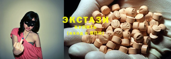 шишки Инта