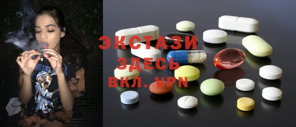 шишки Инта