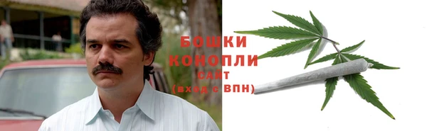 бутират Инсар