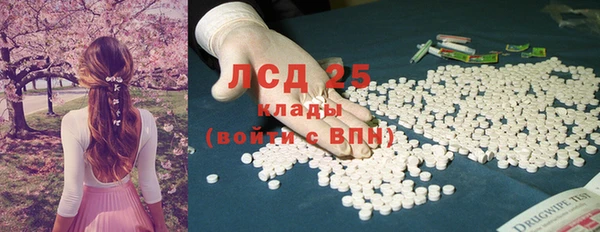 шишки Инта