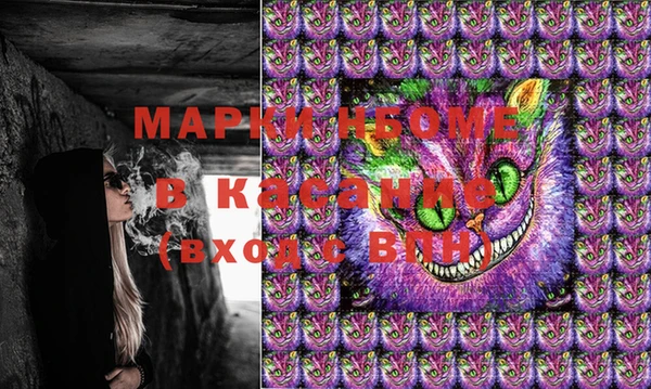 шишки Инта