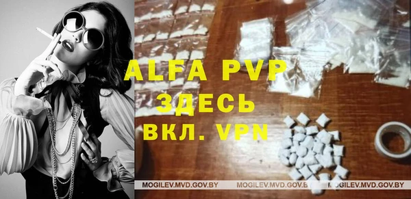 шишки Инта