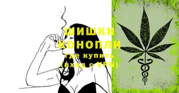 шишки Инта
