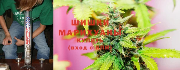 бутират Инсар