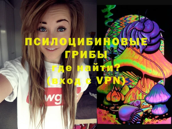 шишки Инта