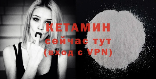 шишки Инта
